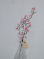 Gypsophila 58cm roze 12 stuks